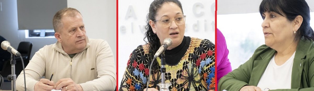 jara diputados y otros jara diputados y otros