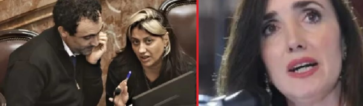 josema gadeano y villaroel vice