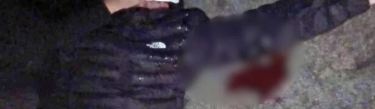 joven golpeado en el calafate