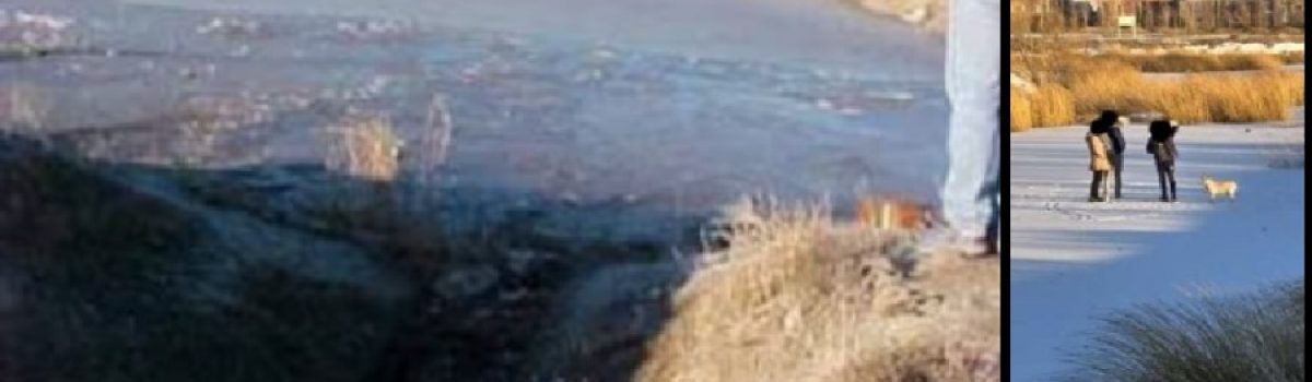 laguna conjelada muerte