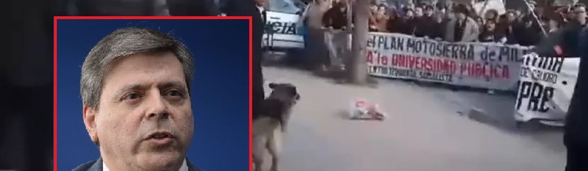 leguizamon repudio menem