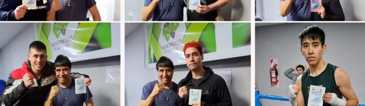 licencia box 2022