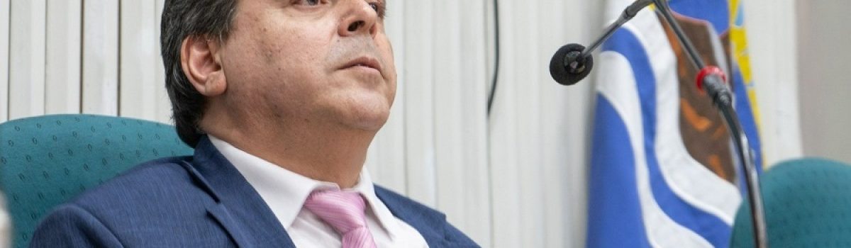 lrgizamon vicegobernador