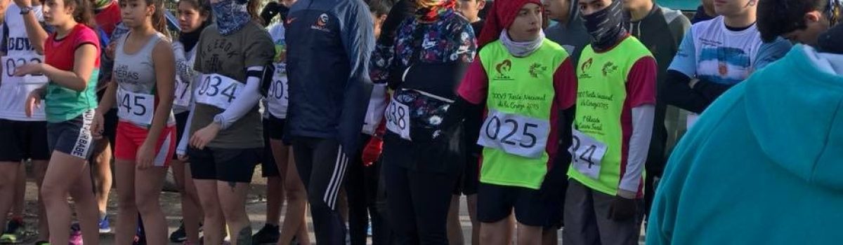 maraton medio ambiente 6k