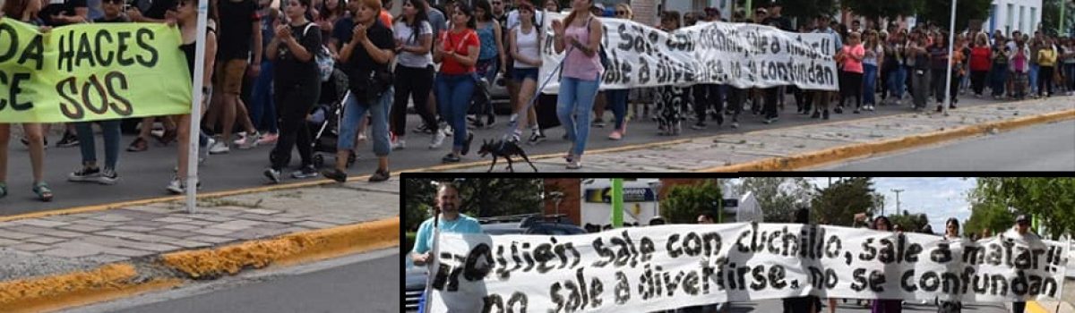 marcha pedido de justicia chicos agredidos camping11