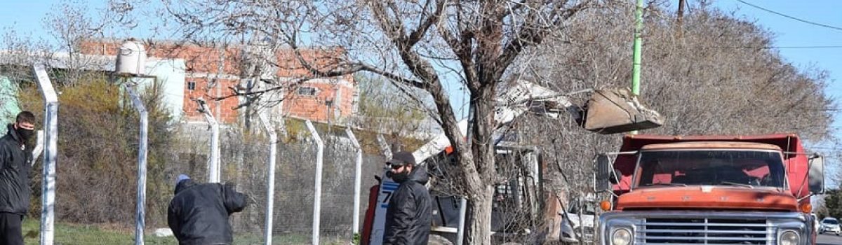 medio ambiente trabajando muni