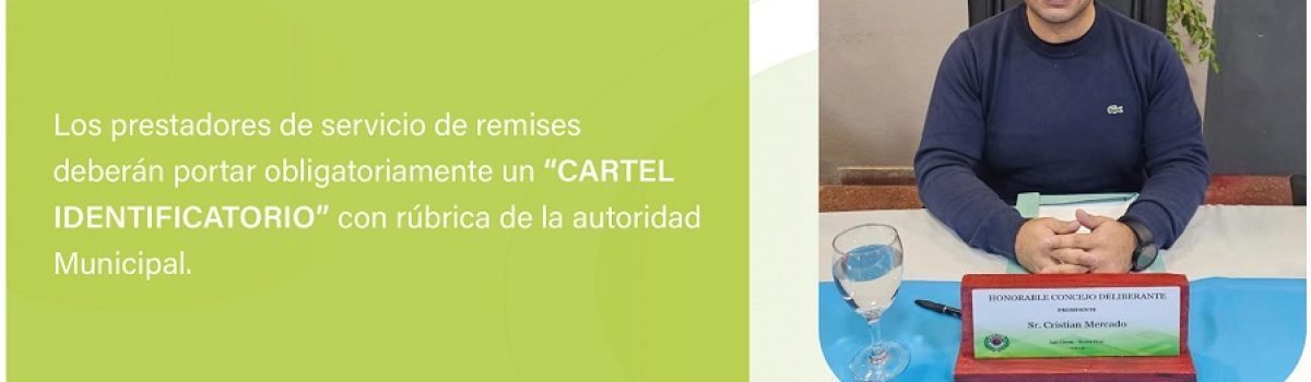 mercado cartel remis