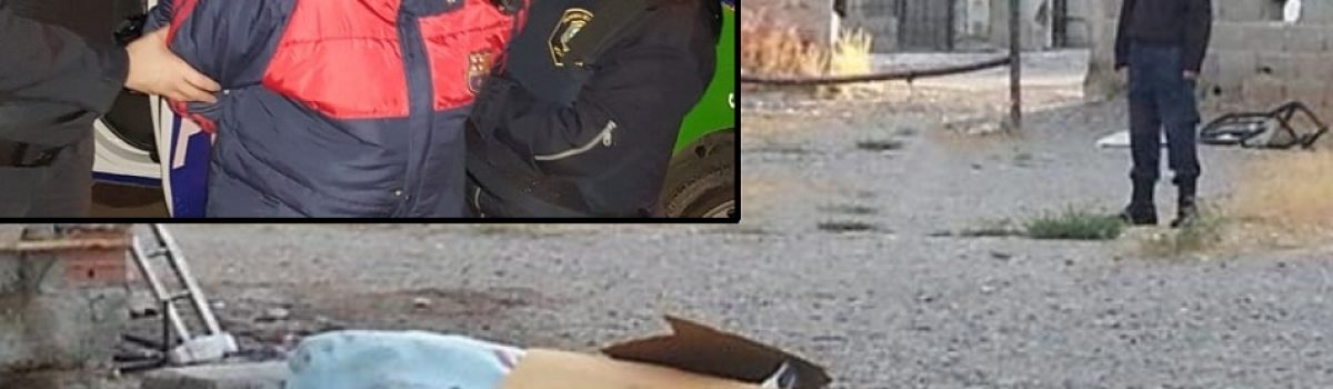 mujer detenida en villa iris 1