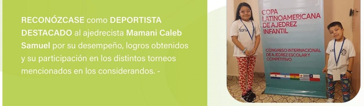 niños Ajedrecistas mercado proyecto