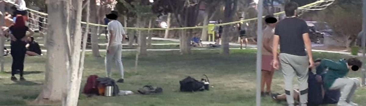 no cuidan plaza san martin 1