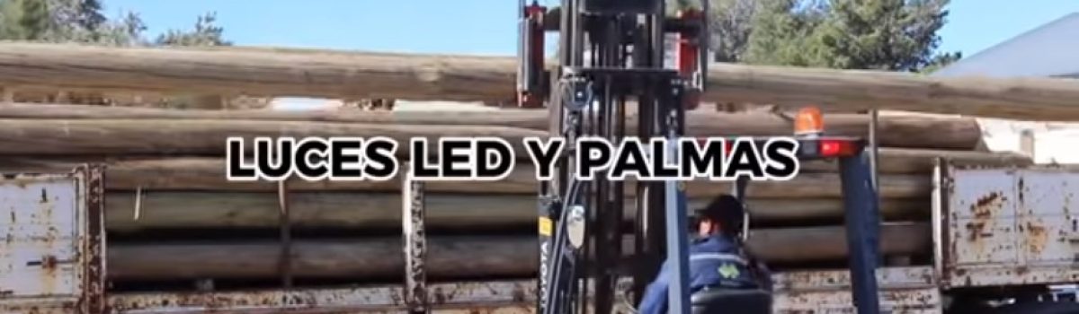 palmas y luces muni