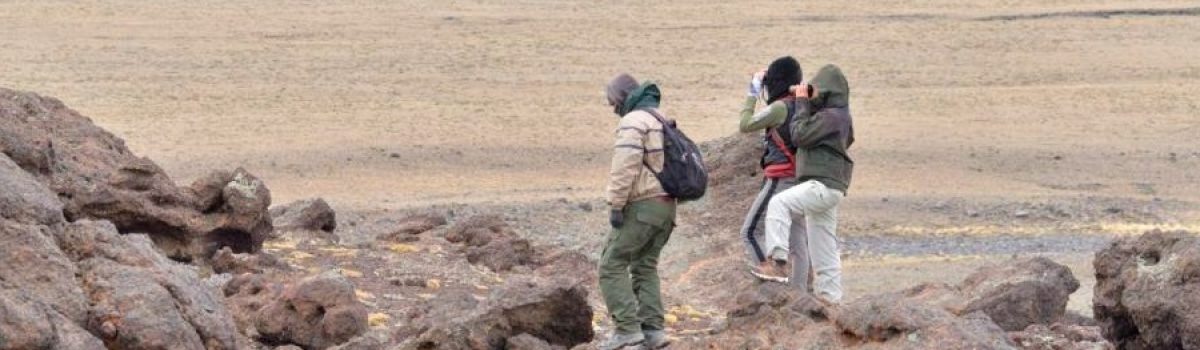 parque patagonia El voluntariado