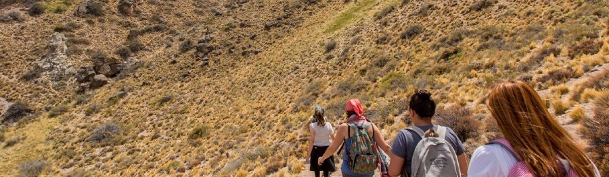 parque patagonia sendero caminata