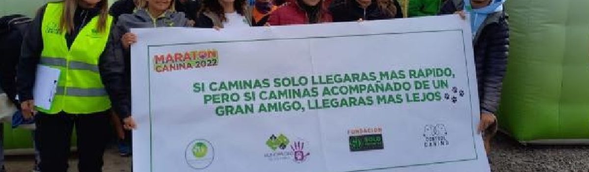 paseo canino 2022