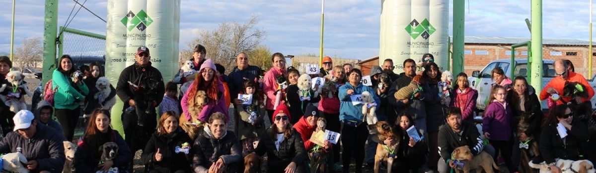 paseo canino 2023