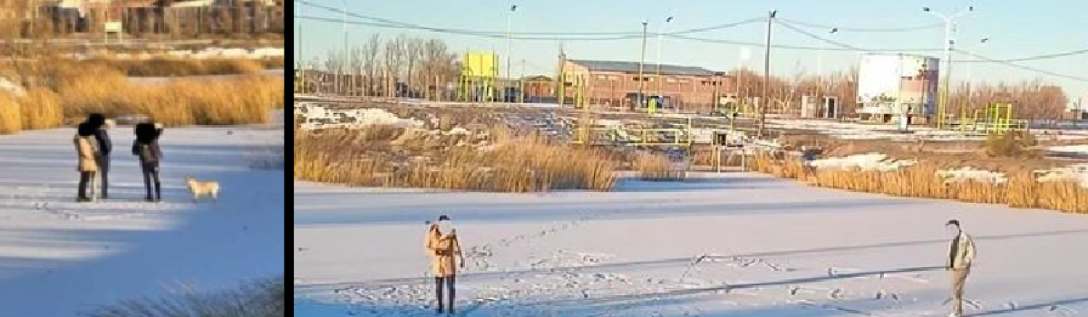 patinando en la laguna 2024