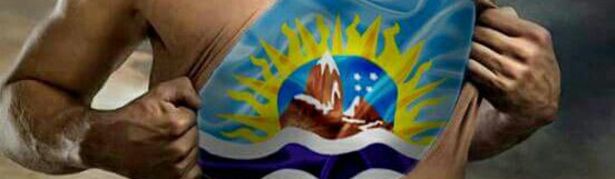 pechera bandera Santa Cruz