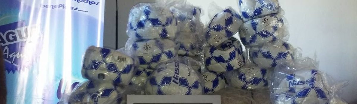 pelotas el depo