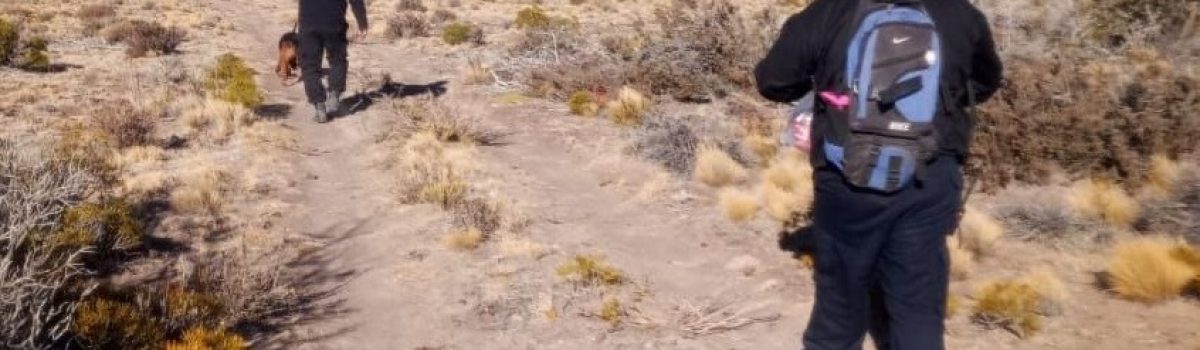 peon muerto 1 campo