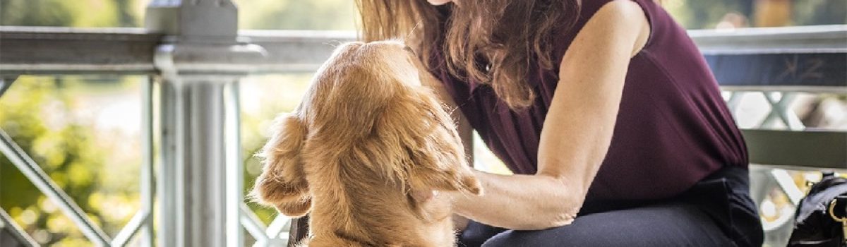 perro mascota mujer