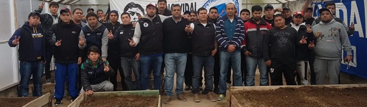petrolero invernaderoescu Esp PT
