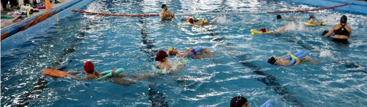 pileta de natacion gente LH
