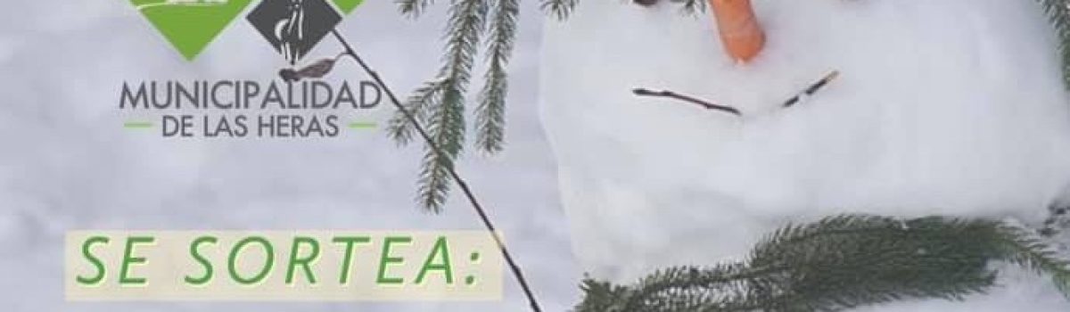 placa concurso muñeco nieve 2020