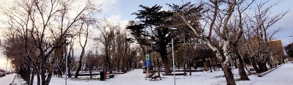 plaza RG nieve
