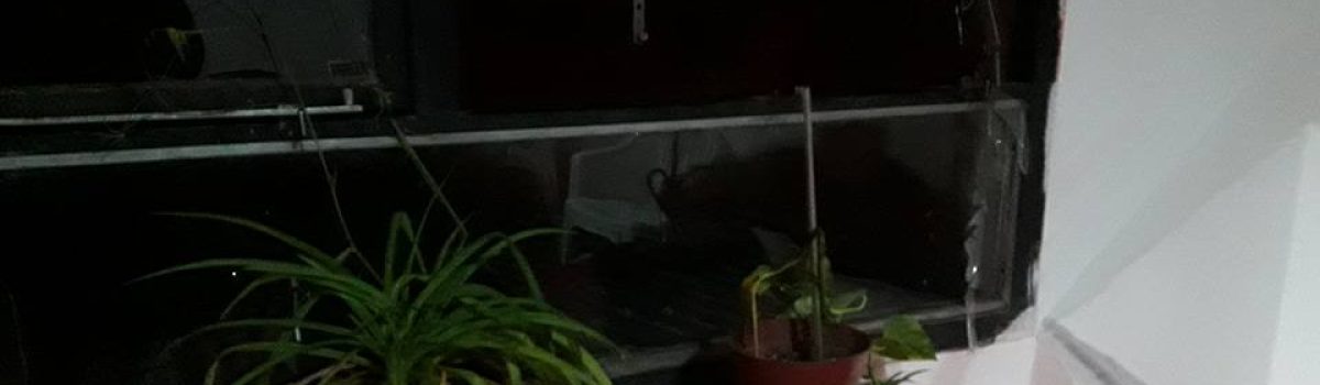 robo roca eterna 1