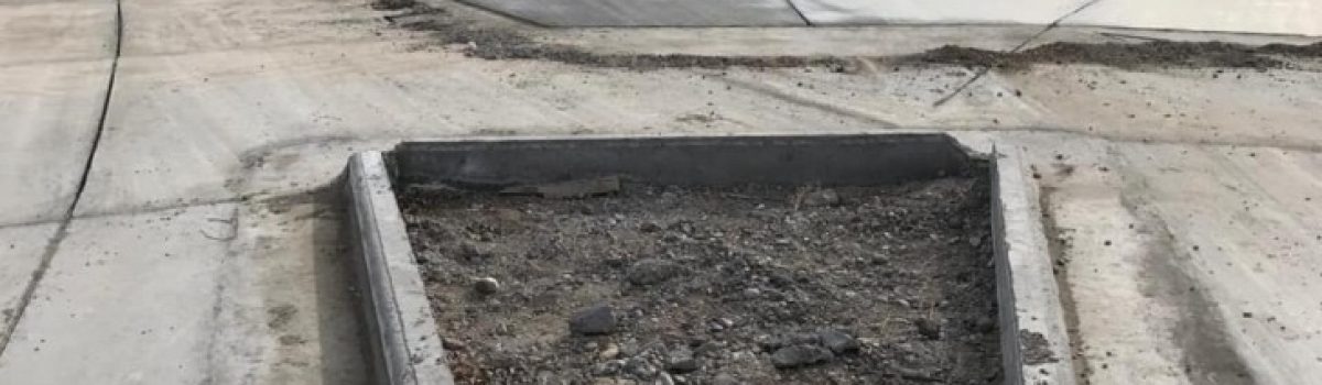 rotonda laguna 2019 obra