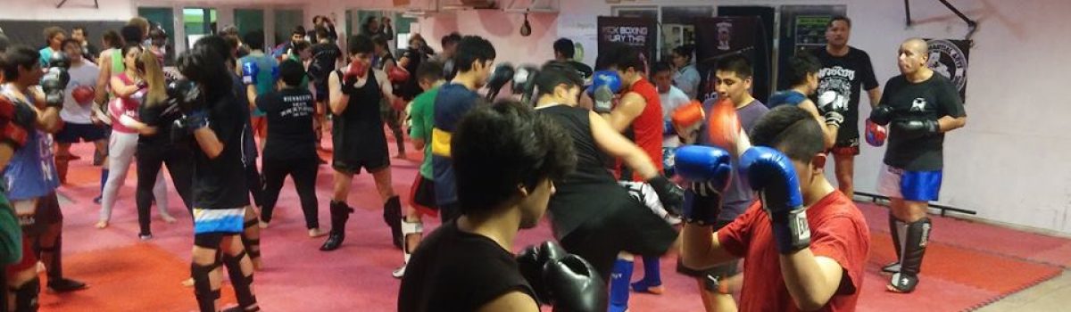 seminario de kick boxing