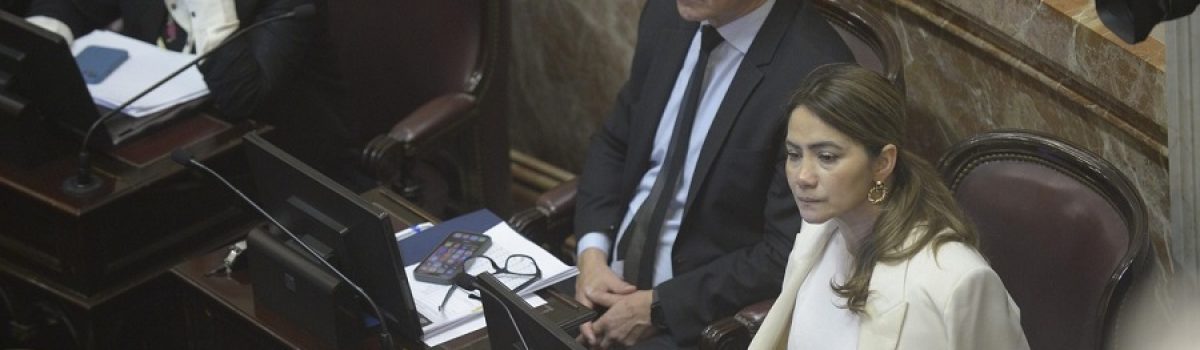 senadores misiones