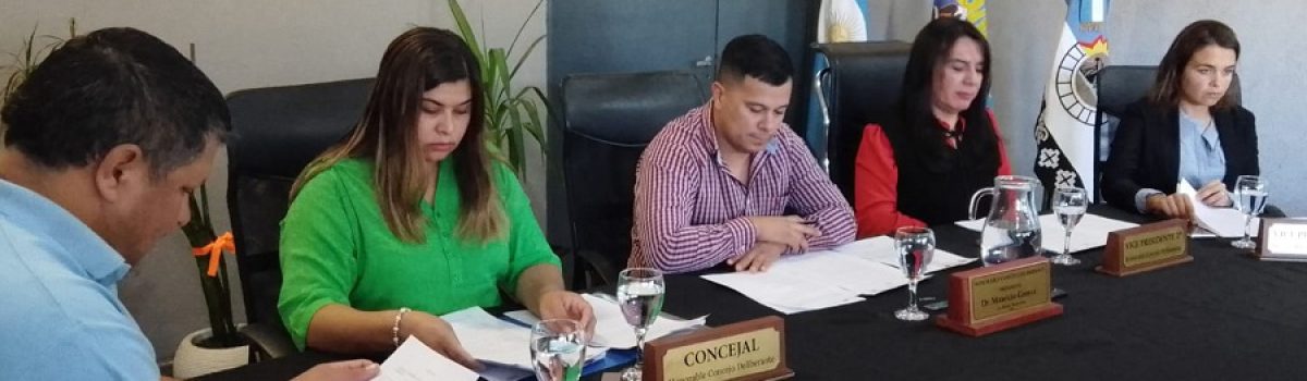 sesion HCD ediles coincejo abril 2024