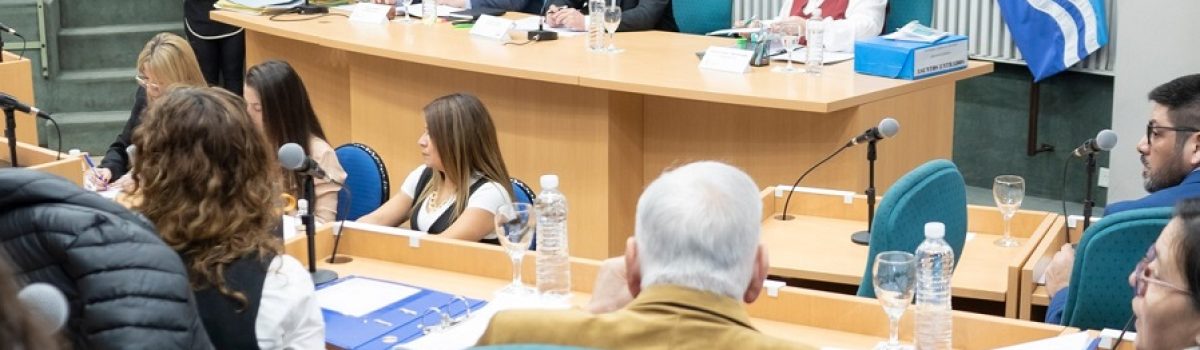 sesion camara diputados jara