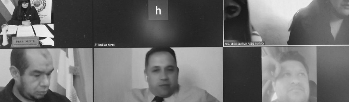 sesion concejo virtual