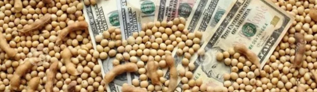 soja con dinero