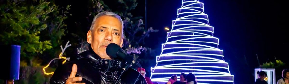 soloaga arbol navida 2024