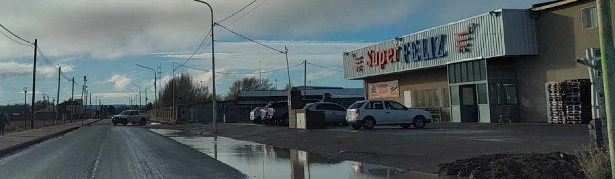 supermercado los chinos