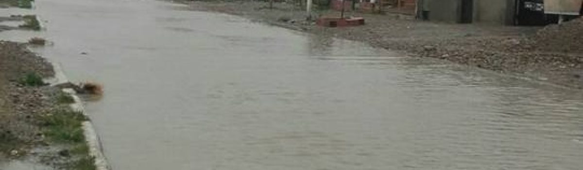 temporal LH marzo2017 1