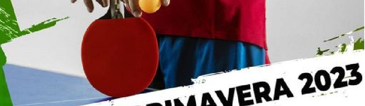 tenis de mesa 023
