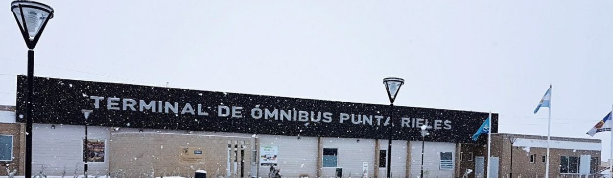 terminal nevado