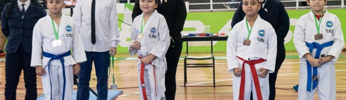 torneo karate mayo 2025