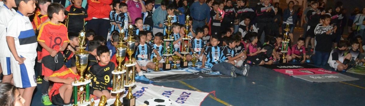 torneo peetrogol 2017 torneo peetrogol 2017