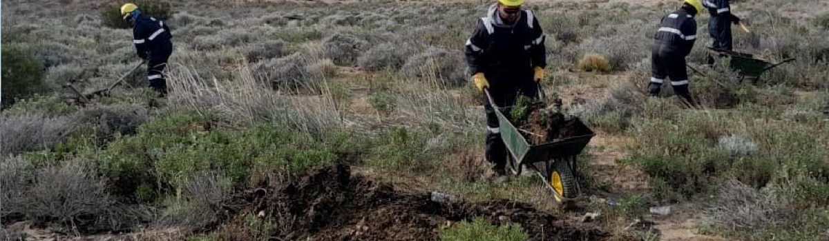 trabajadores ypfianos remediacion ambiental cañadon