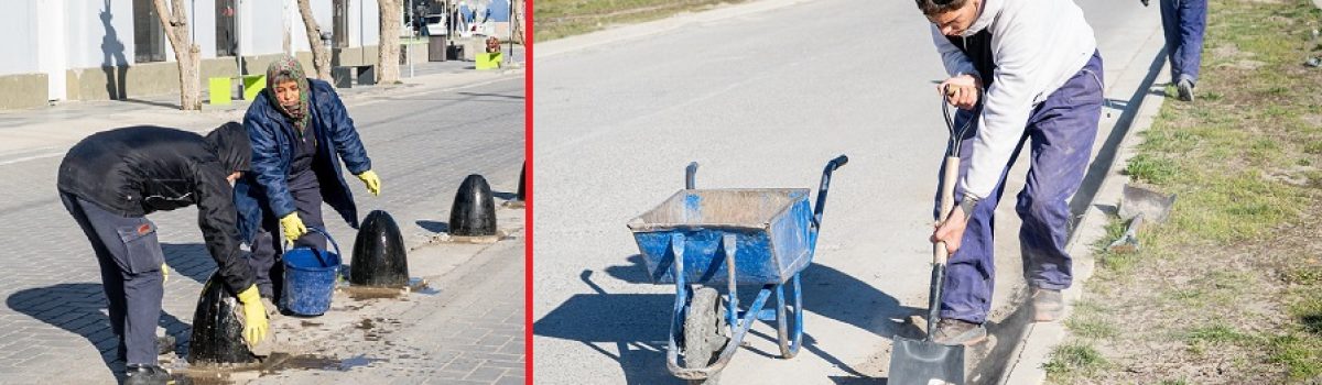 trabajo calle municipio