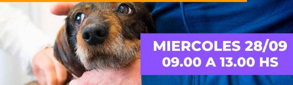 vacunacion antirravica 28 09 2022