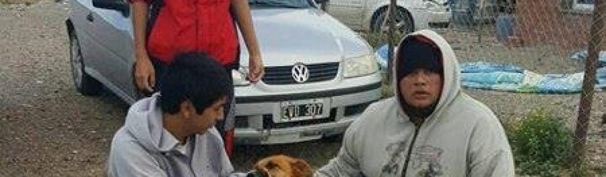 vacunacion perros