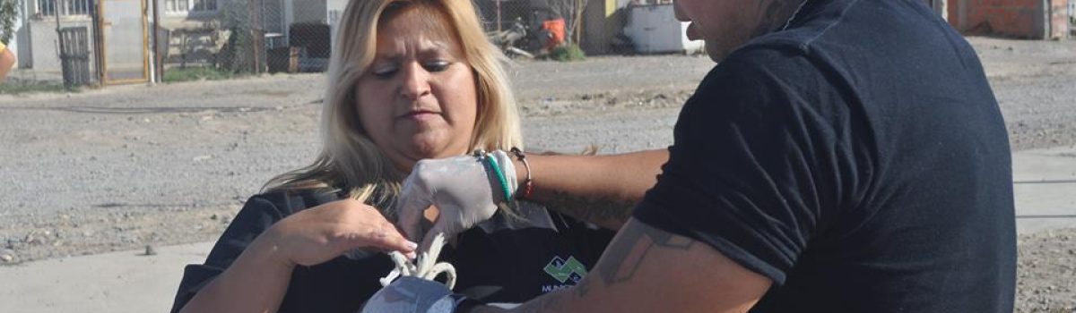 vacunacion perros