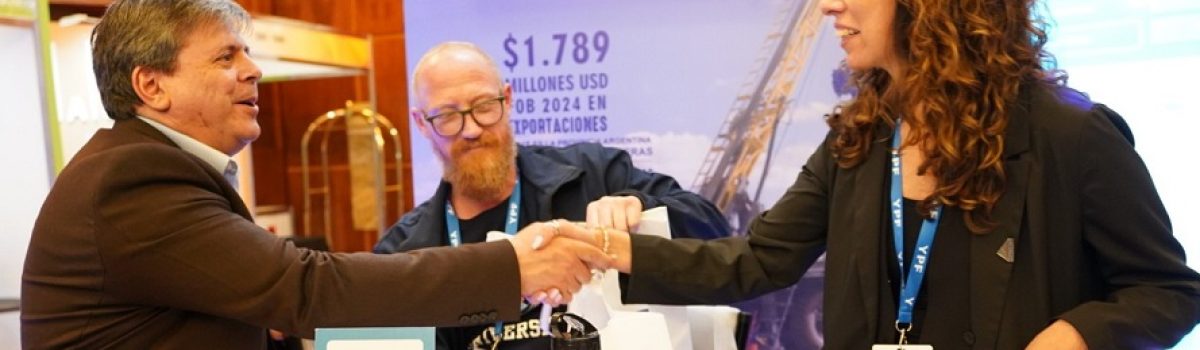 vicegoberna de minigsur 025