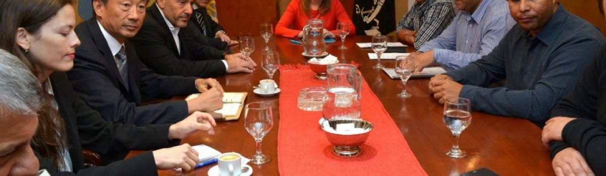 vidal alicia sinopec vidal alicia sinopec